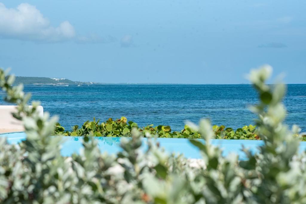 Pasha - Ocean View Apartment Sainte-Anne  Exterior foto